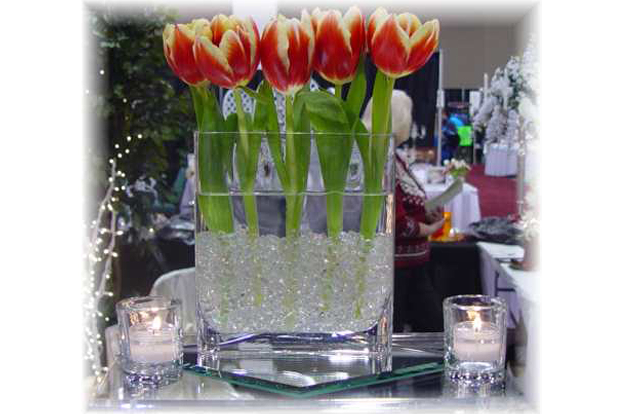 Tulip Vase